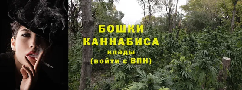 МАРИХУАНА White Widow  купить наркотики цена  Елец 